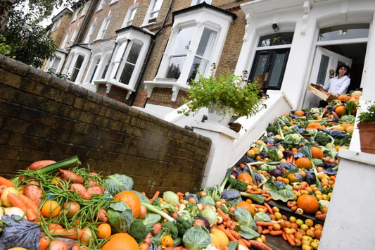 Reducing Food Waste: A Closer Look at the Facts and Figures